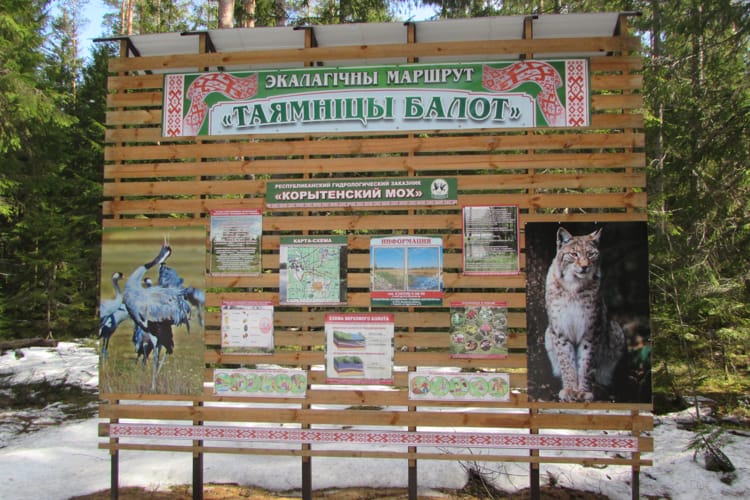 Корытенский мох