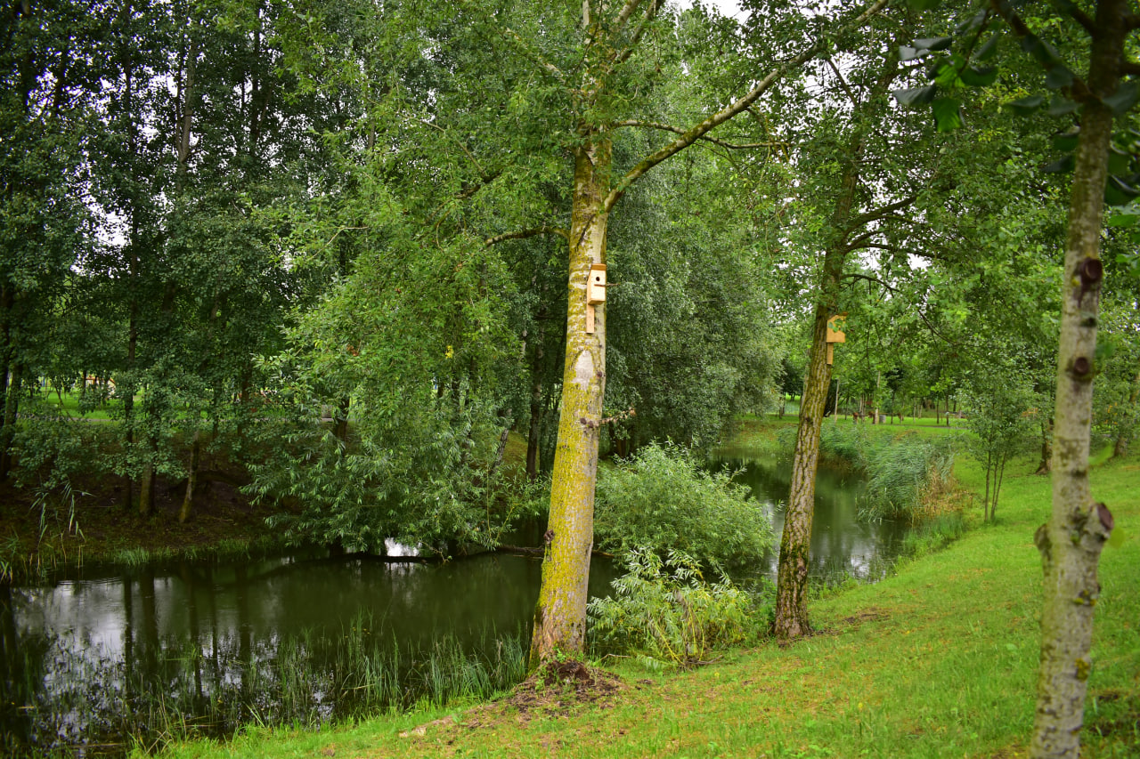 Тропа вдохновения