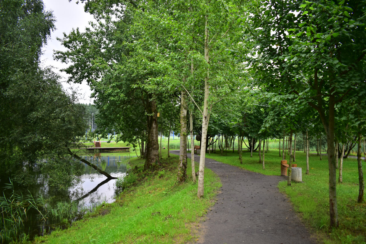 Тропа вдохновения