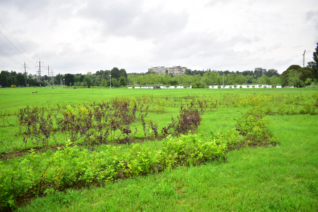Тропа вдохновения лабиринт