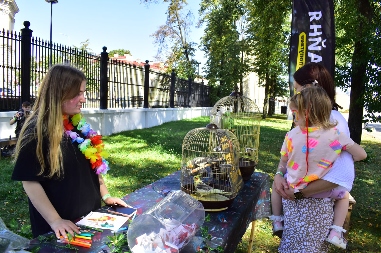 «Твой день» фестиваль