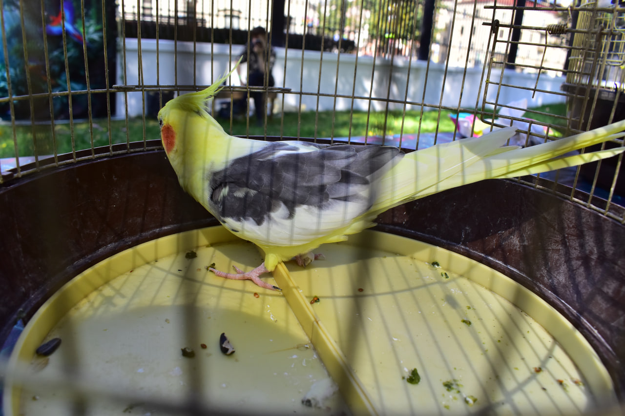 «Твой день» фестиваль