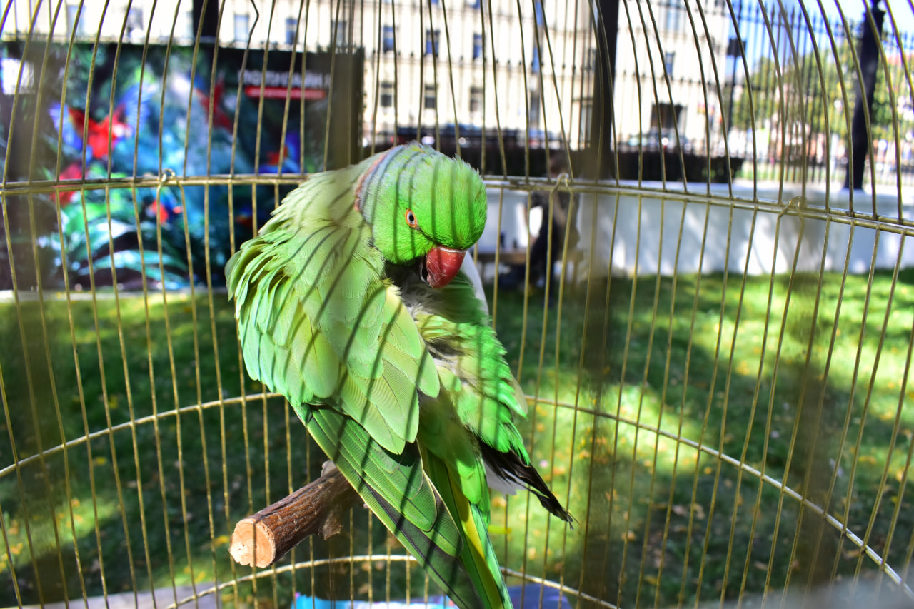 «Твой день» фестиваль