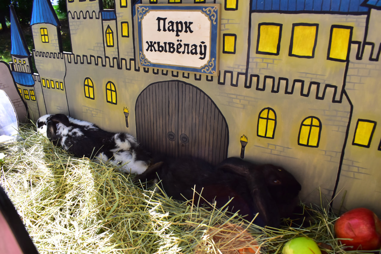 «Твой день» фестиваль 