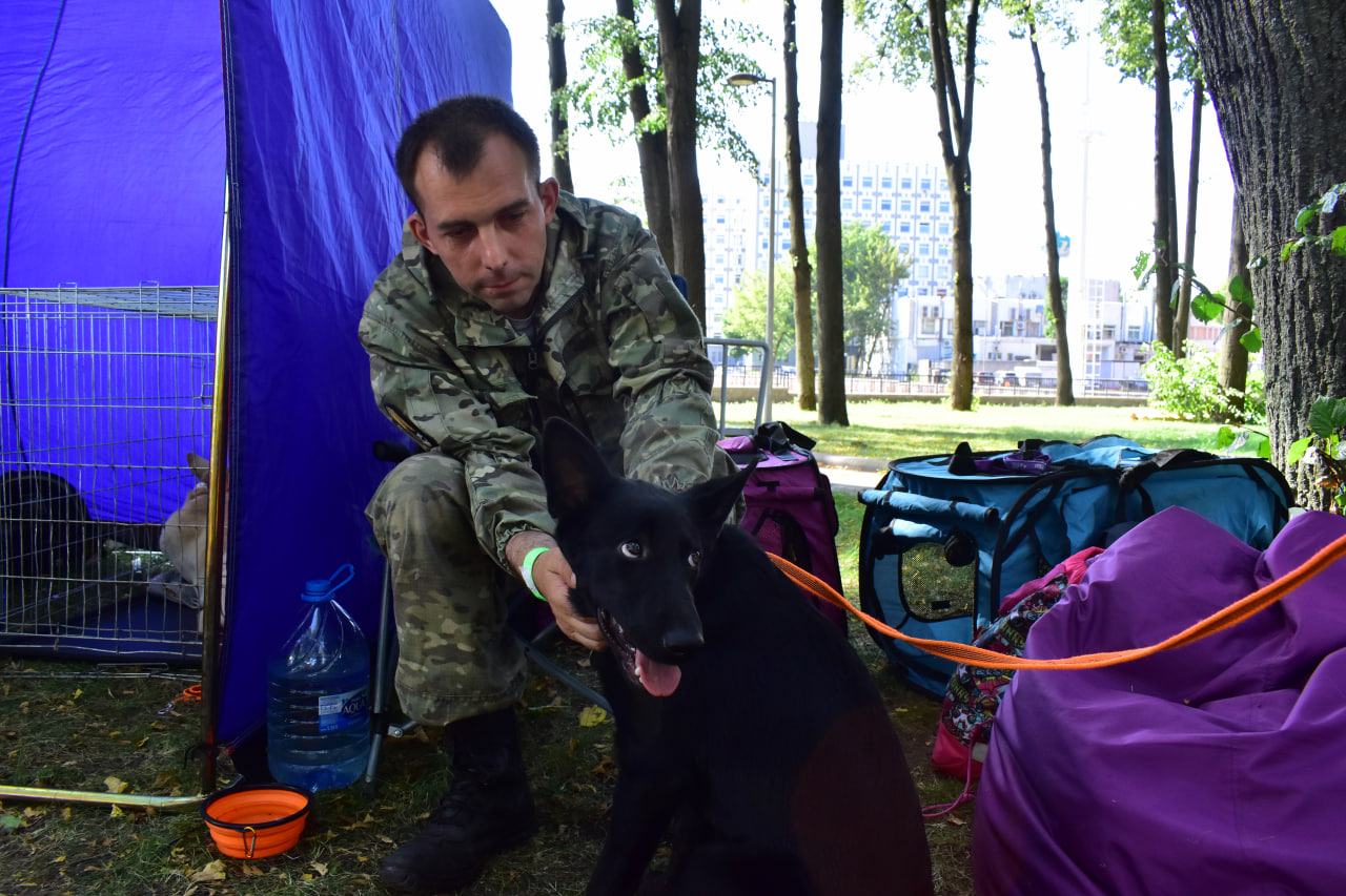 «Твой день» фестиваль