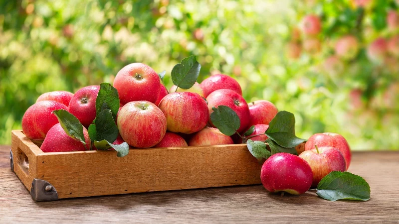 Яблочный Спас