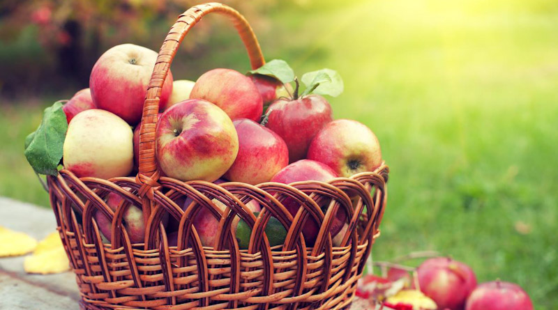 Корзина с яблоками
