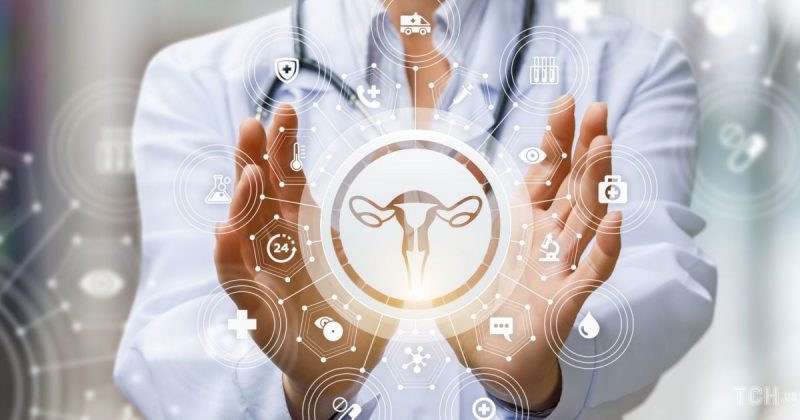 Женская репродуктивная система