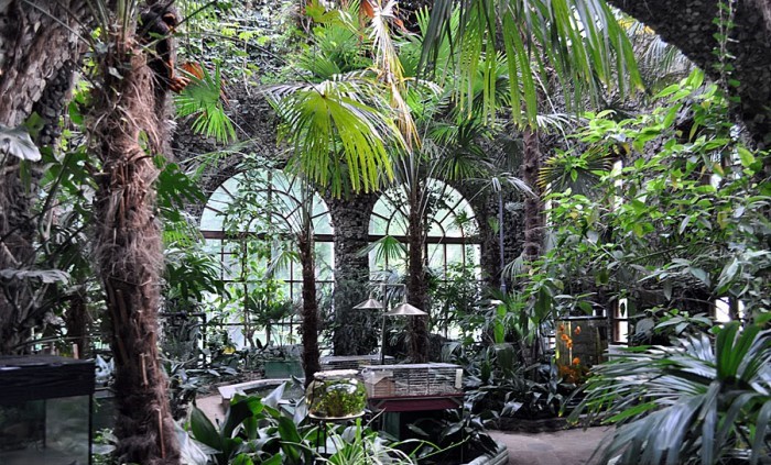 зимний сад в Гомеле