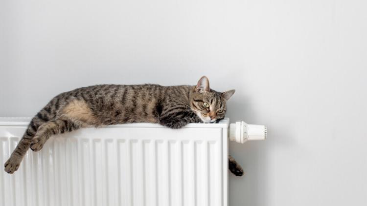 Когда дадут отопление в дома Витебска осенью 2025