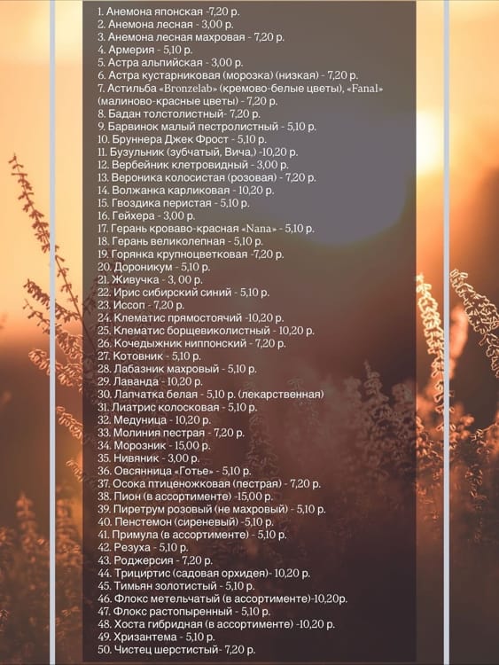 ботанический сад прайс