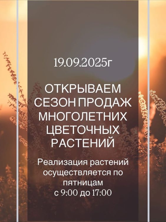 ботанический сад витебск