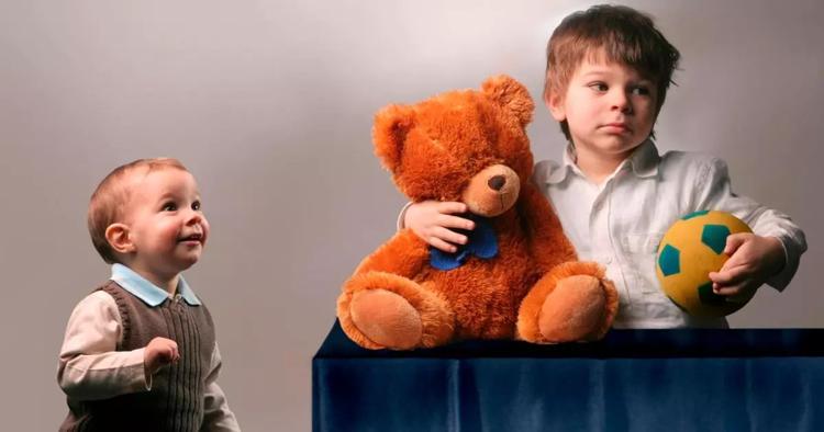 ребенок не делится игрушкой