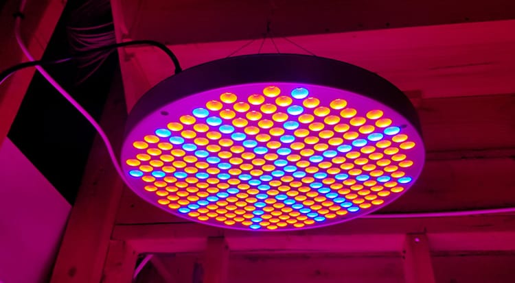 круглая фитолампа