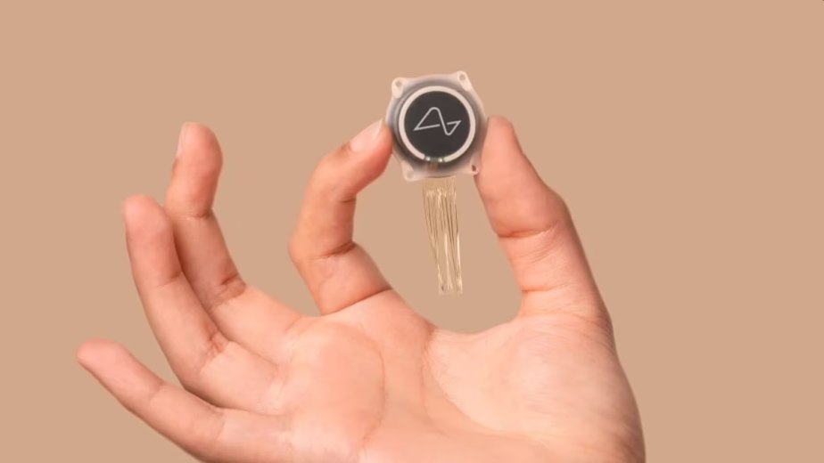 Blindsight от Neuralink