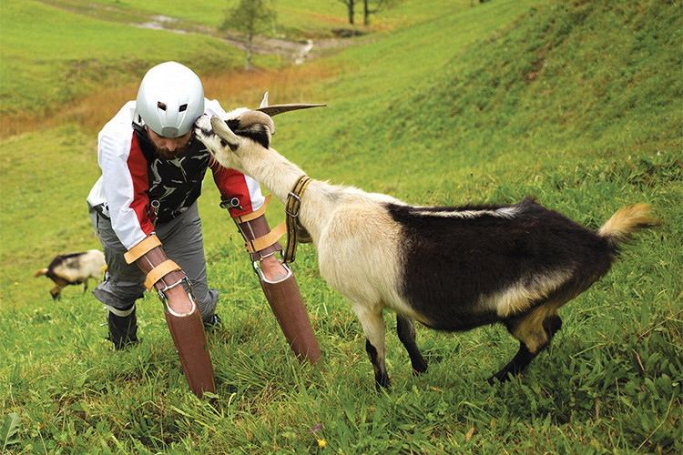 Томас Туэйтес в роли козла