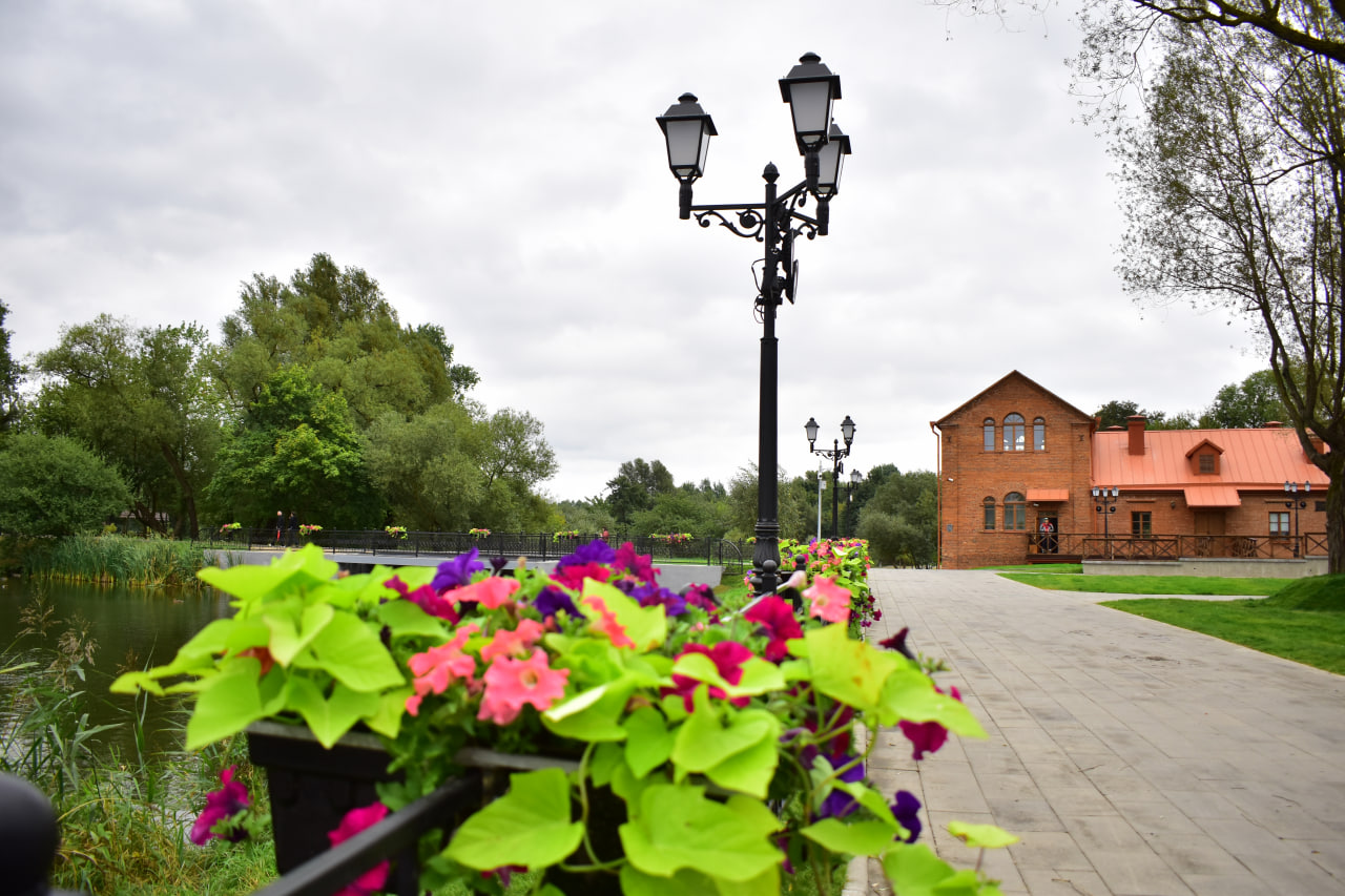 Лошицкий оформление