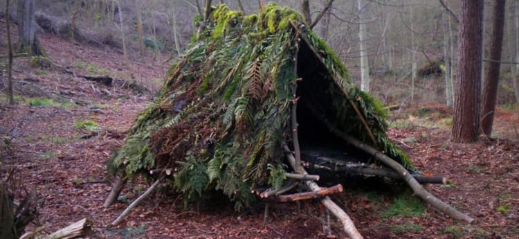 Место для ночлега в лесу