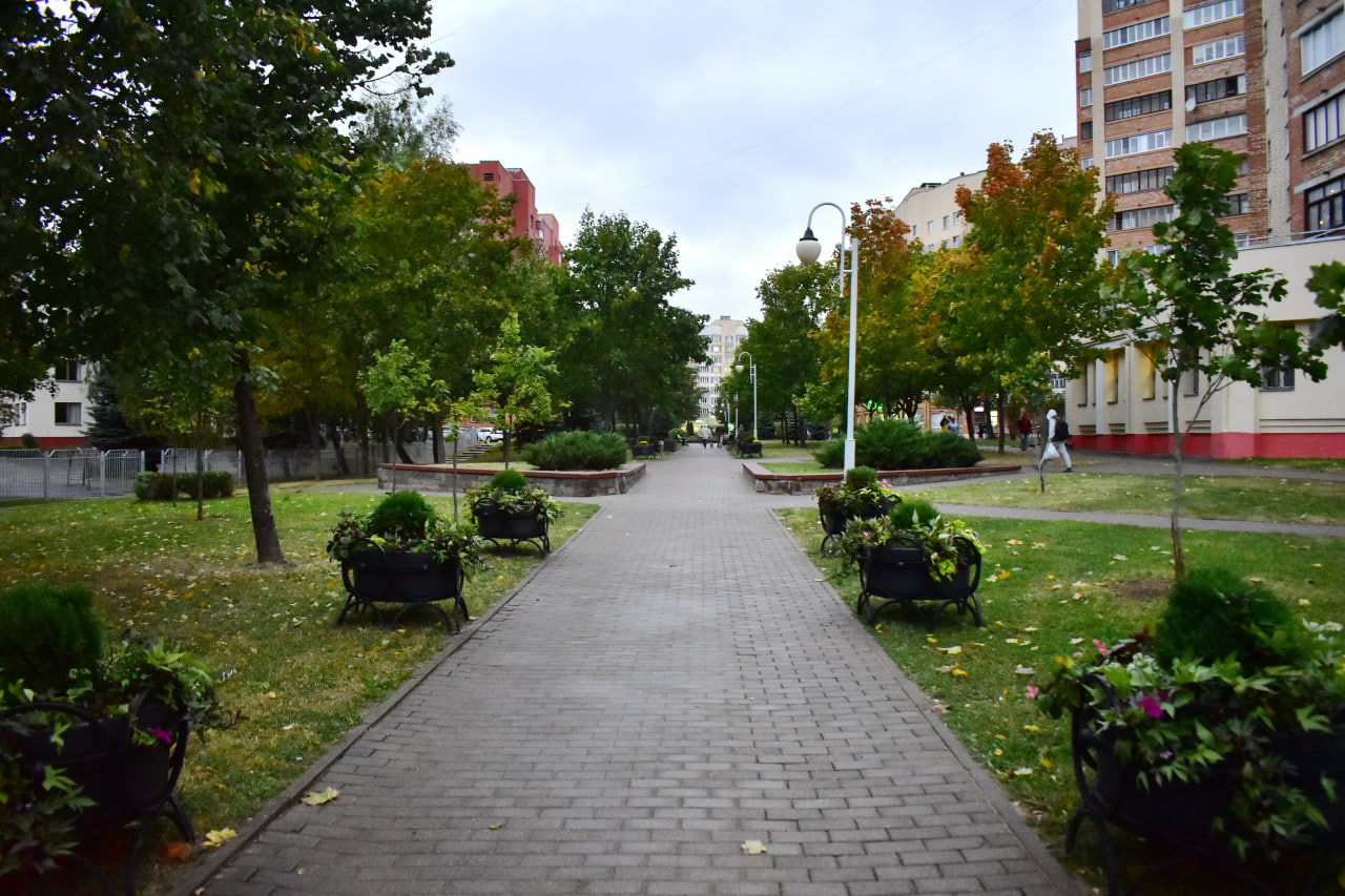 сквер дорожка