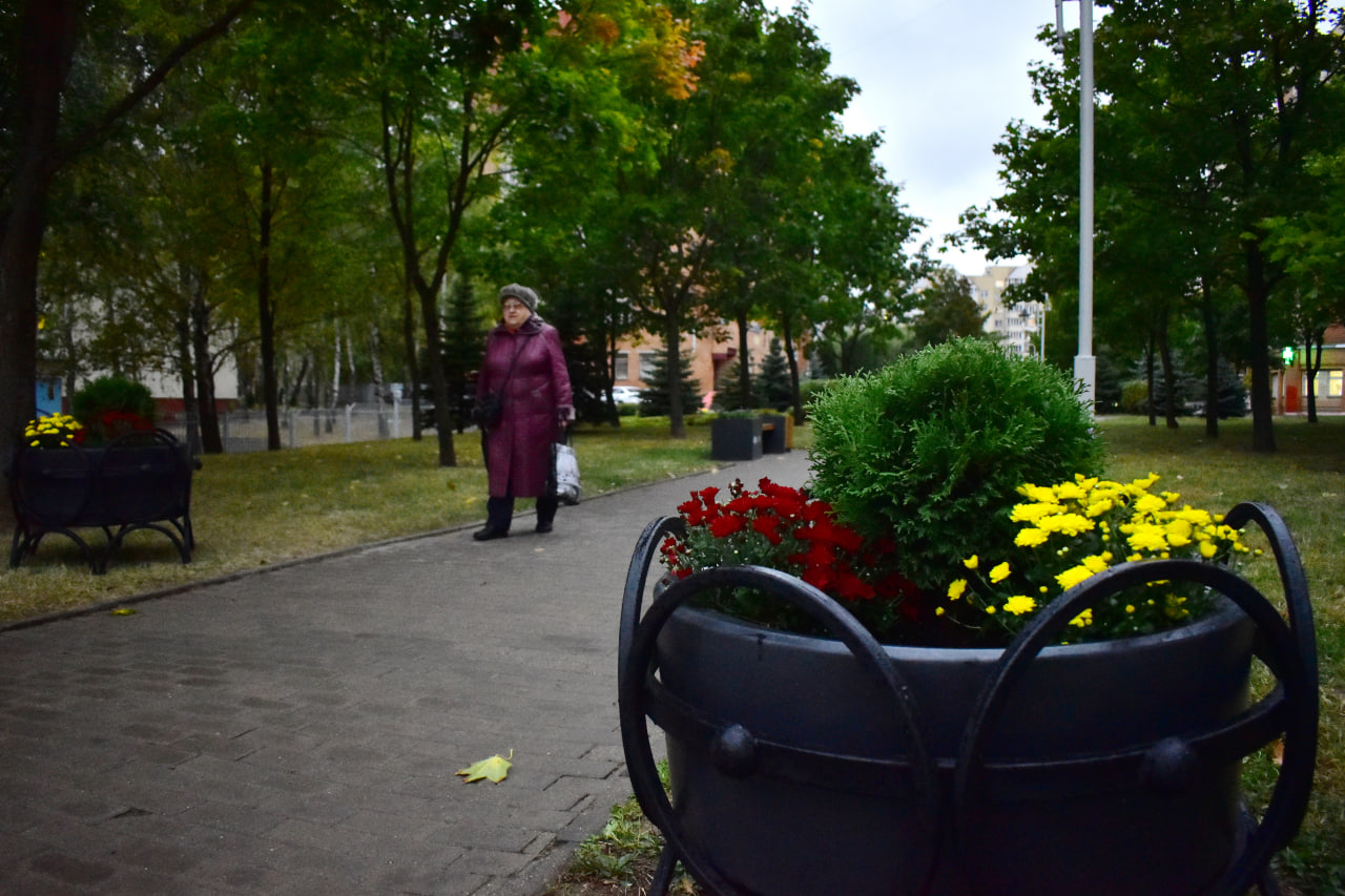 клумба аллея 