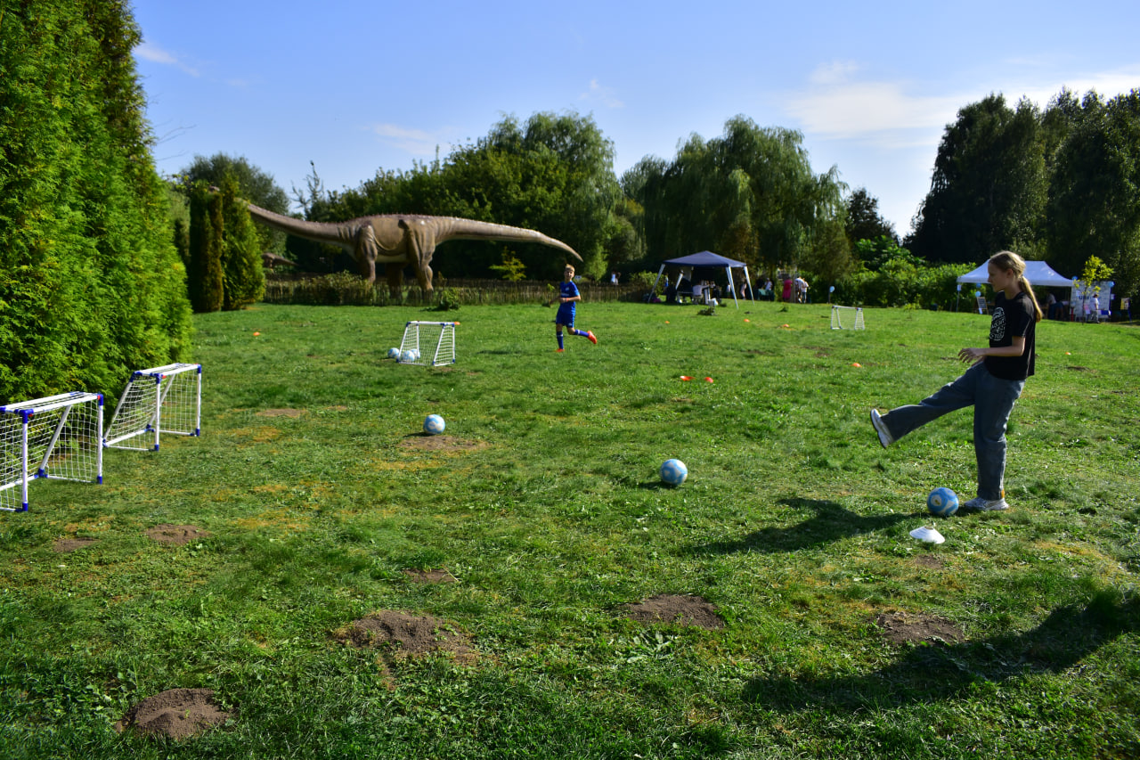 фестиваль Фэмили Фэст футбол