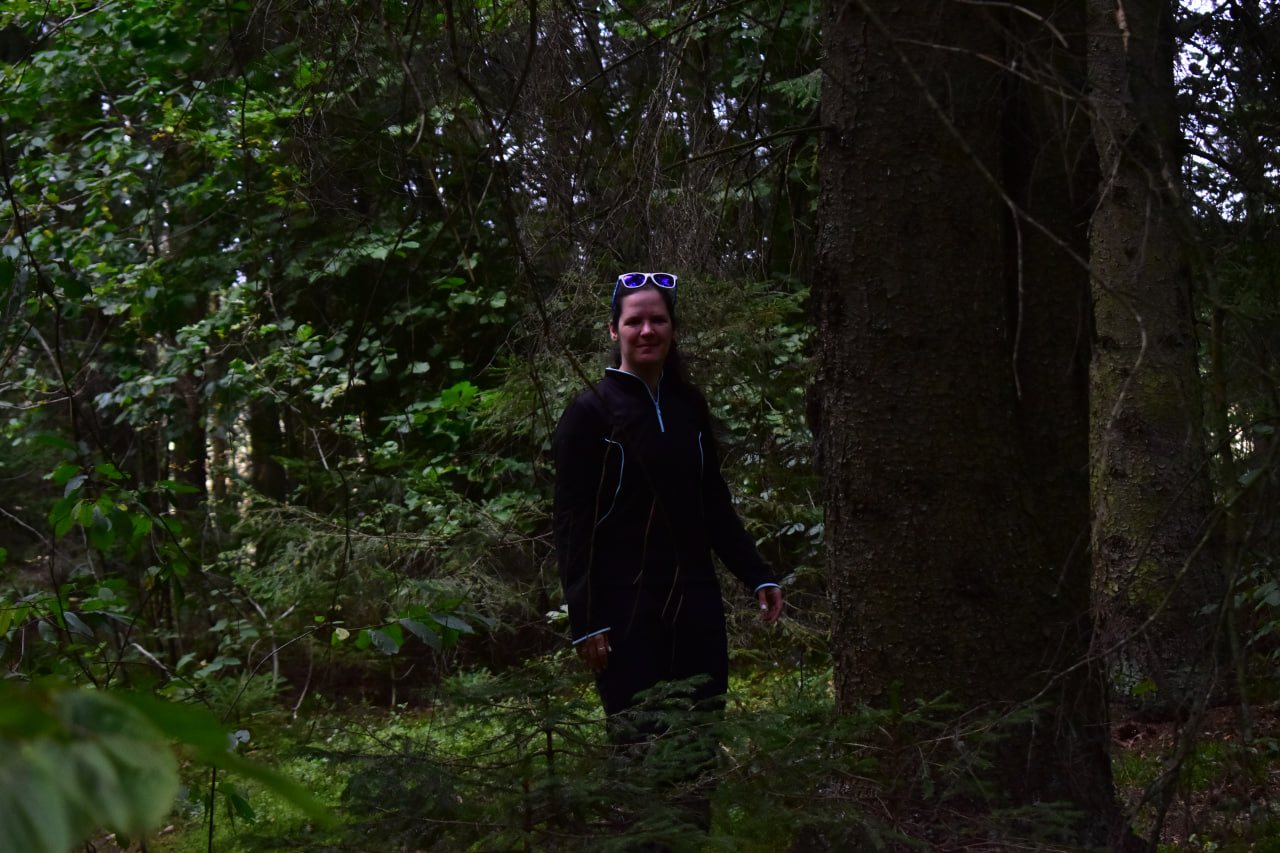 человек в лесу