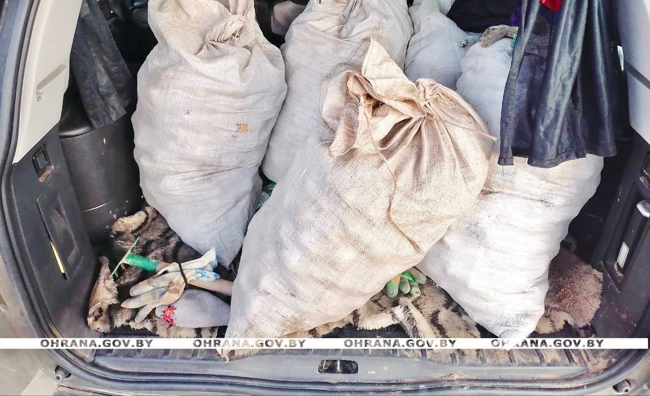 картошка в мешках