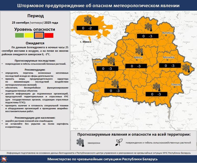 заморозки погода Беларусь