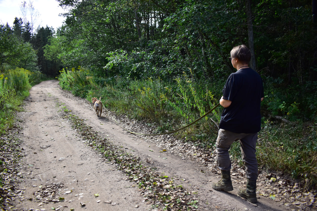 поиск человека