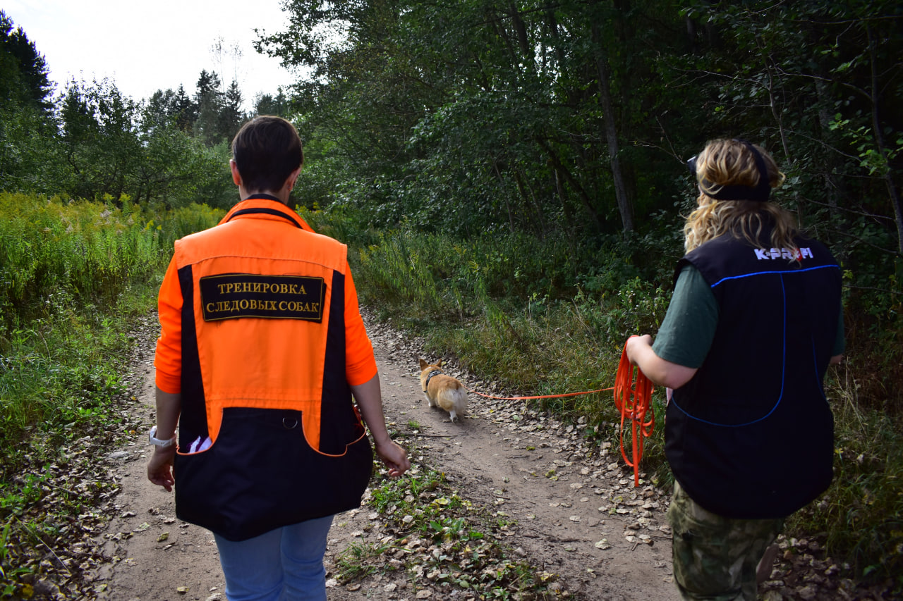 поисковой отряд