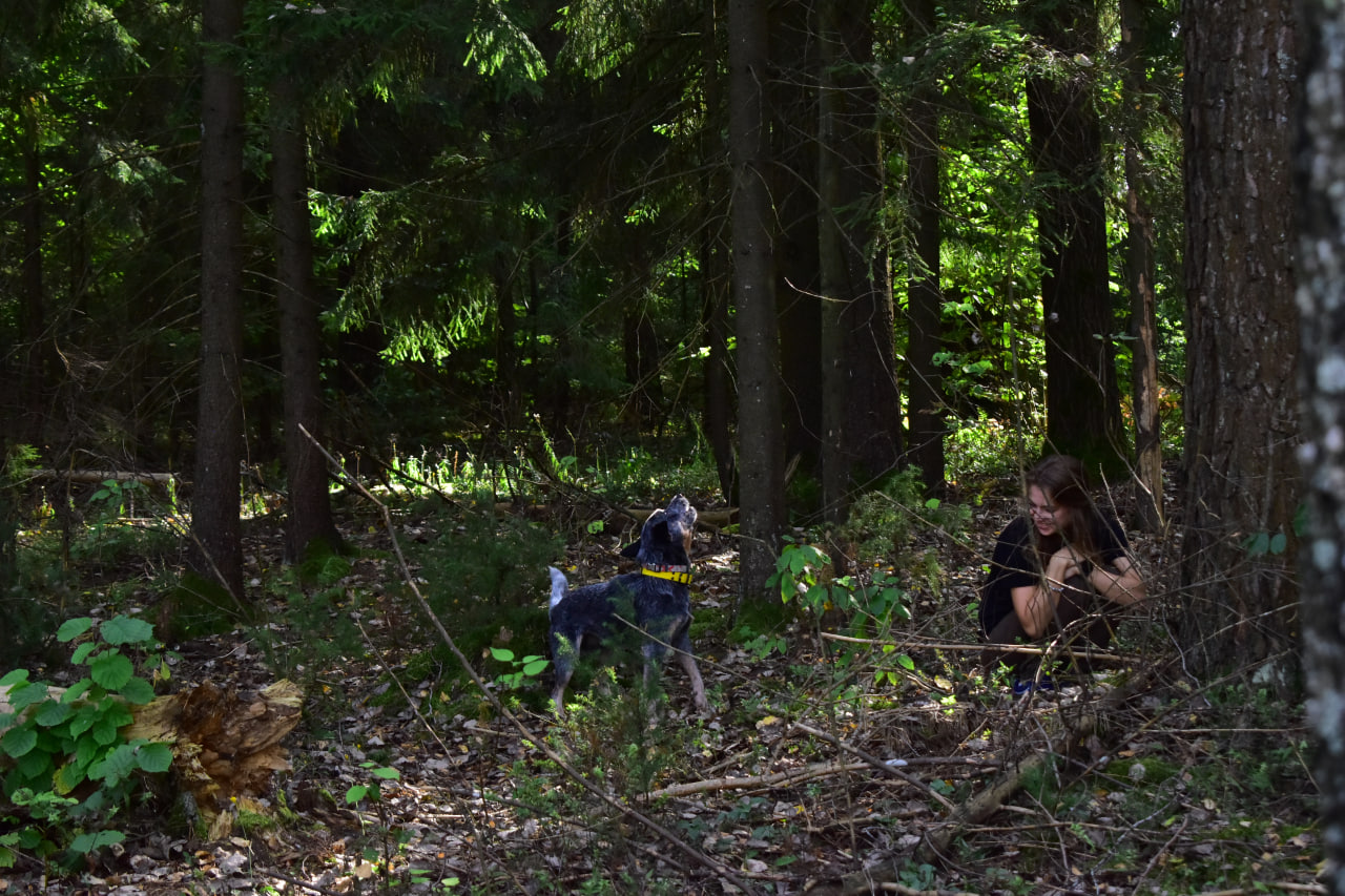 поиск человека