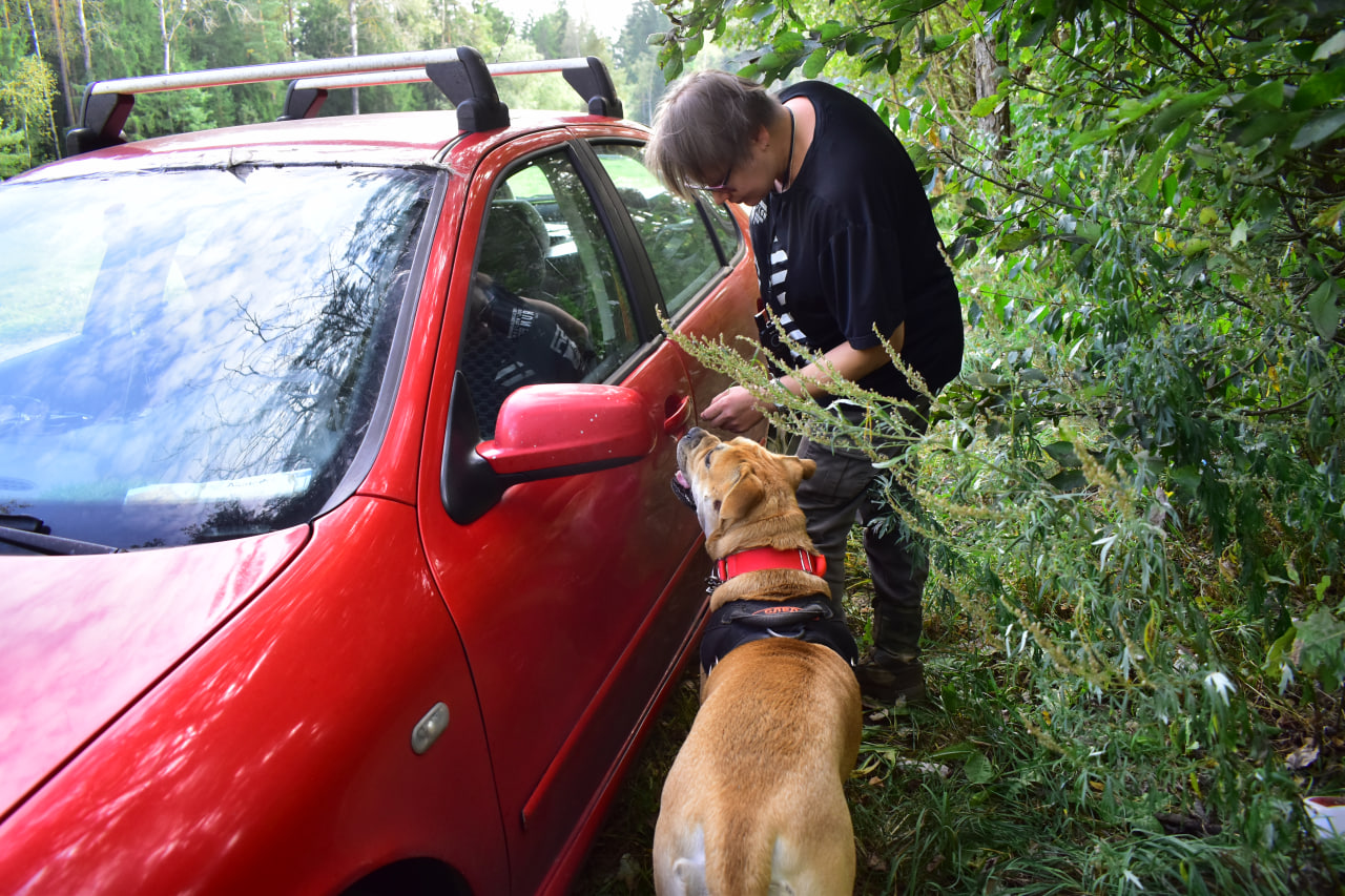 поиск по следу