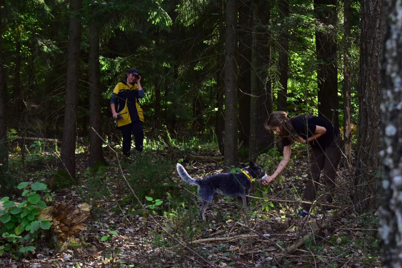 поиск человека тренировка