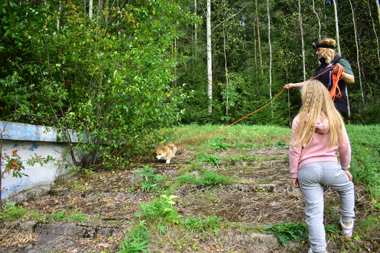 поиск человека по следу