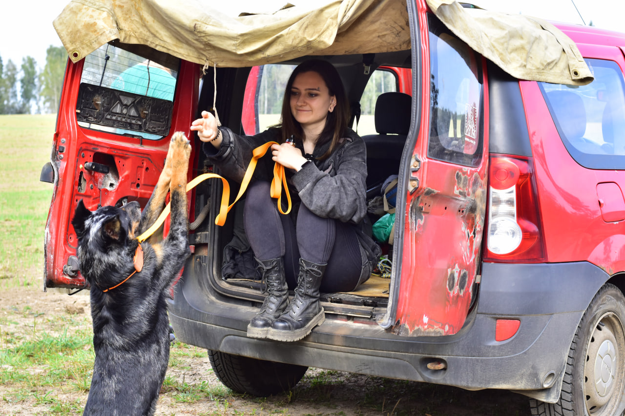 собака и хозяин