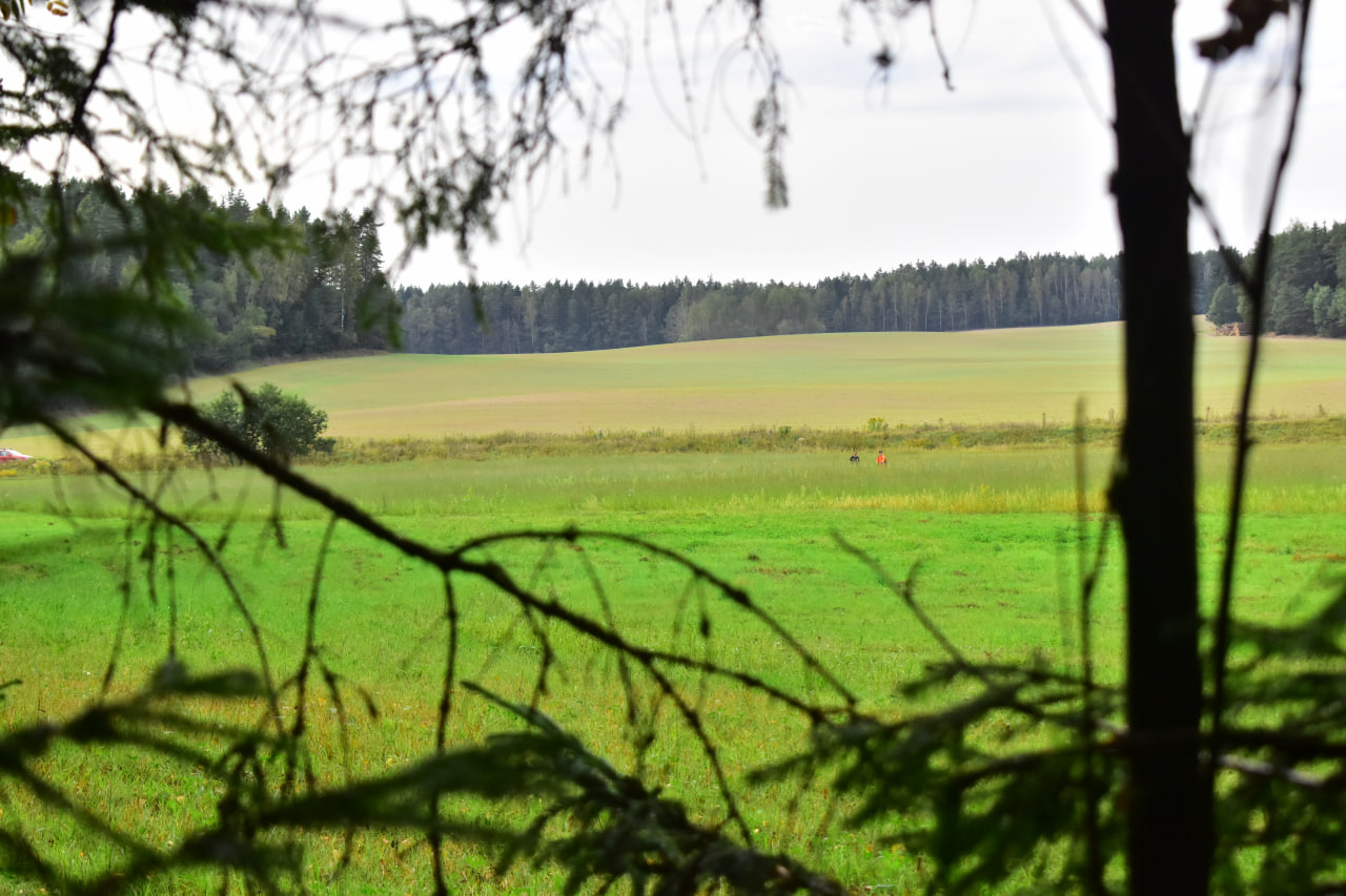 поиск человека на природе