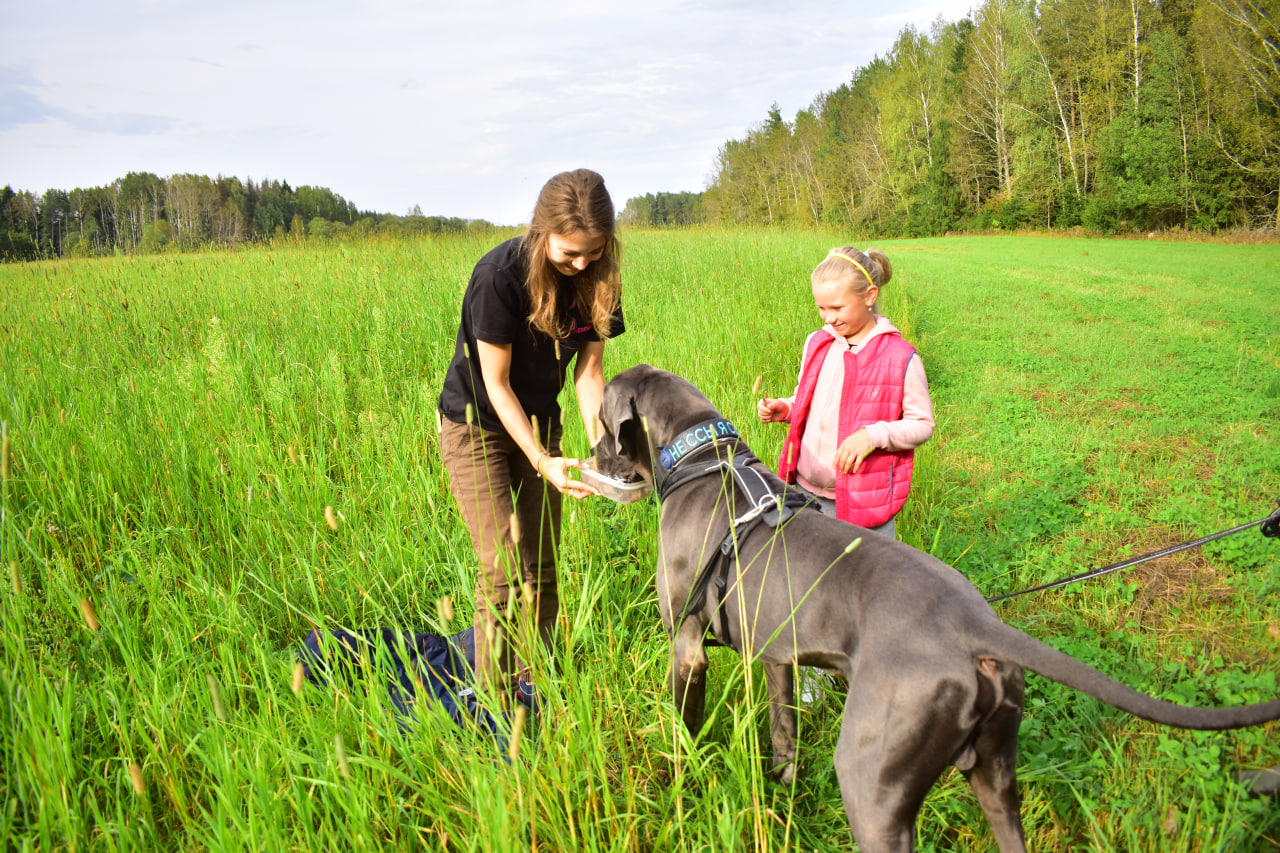 поиск человека награда