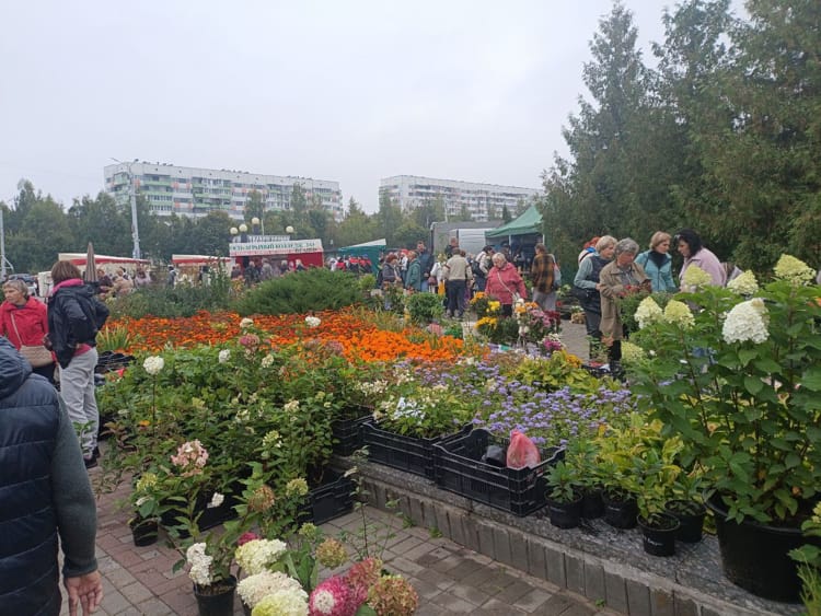 ассортимент ярмарки