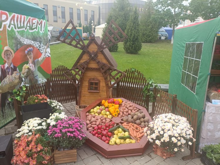 Побывали на осенней ярмарке Витебска и увидели, чем удивляют местные мастера