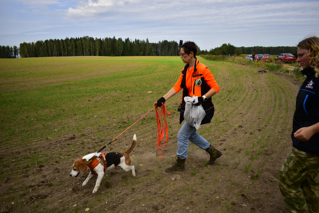поиск человека
