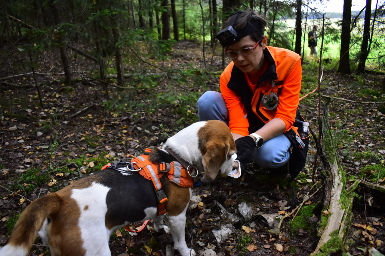 награда за поиск