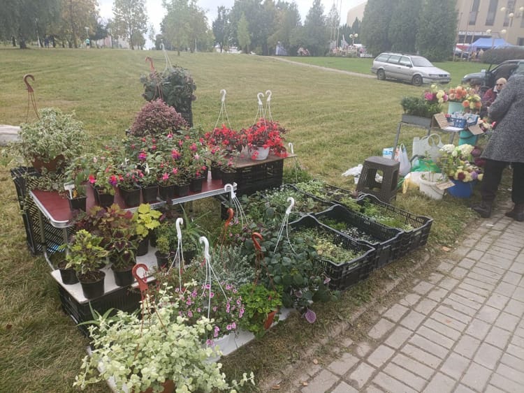 ассортимент ярмарки