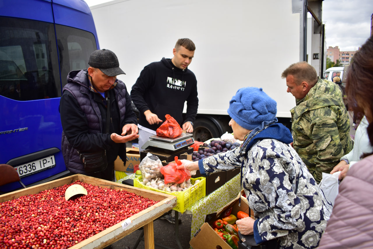 покупки ярмарка