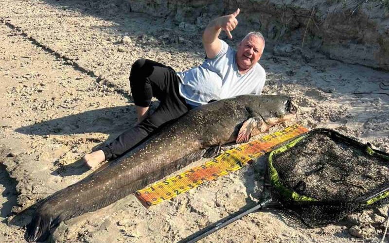 Гигантского сома выловили в Припяти
