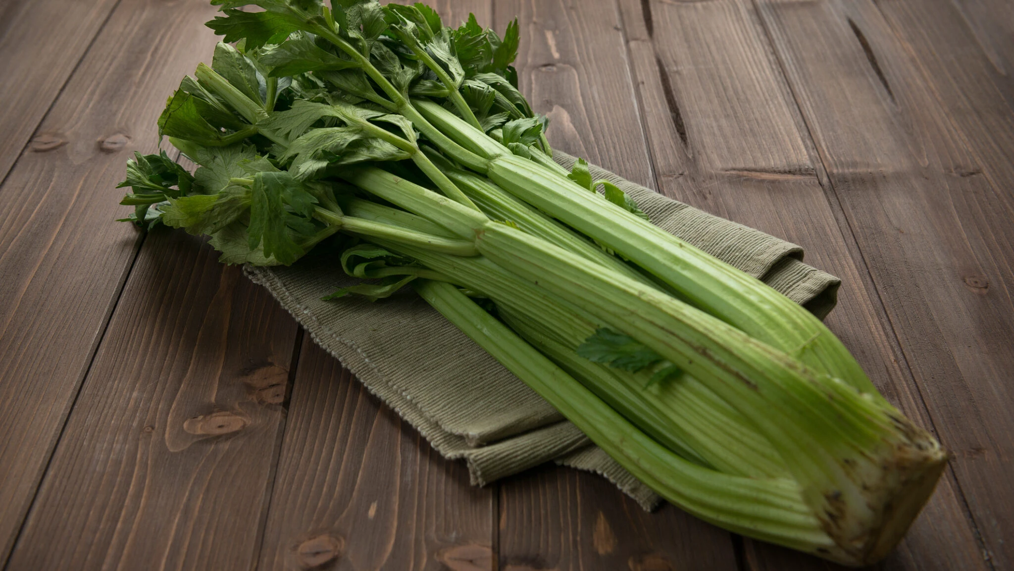 Сельдерей