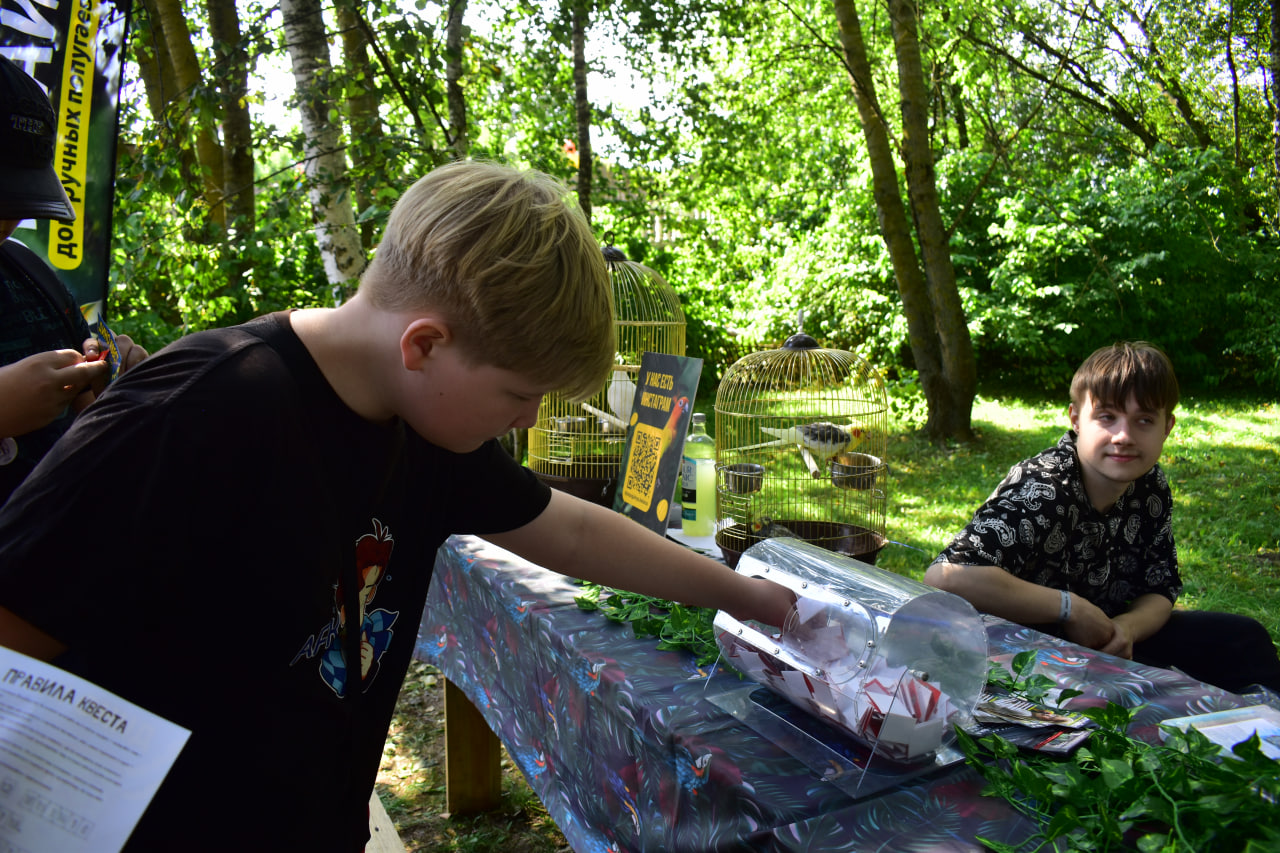 фестиваль Фэмили Фэст 