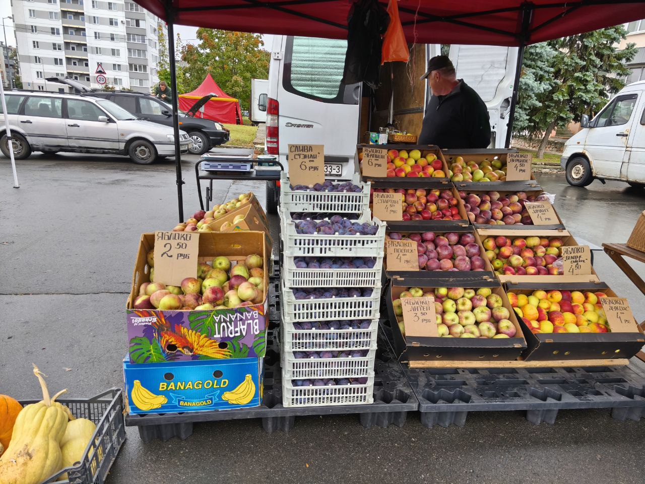 яблоки на ярмарках