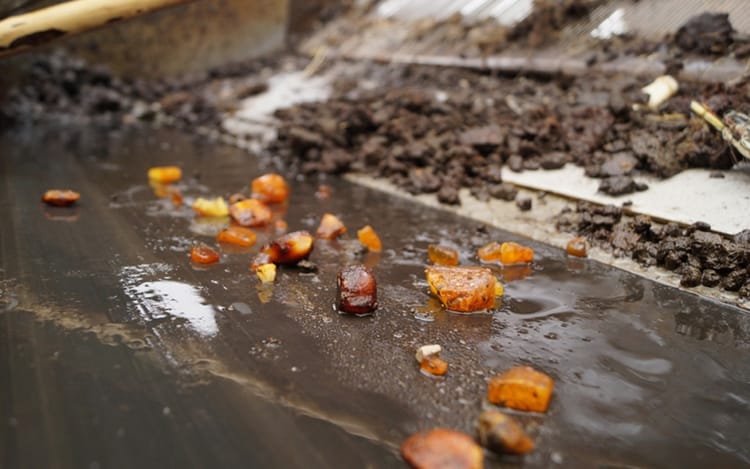 Добыча янтаря