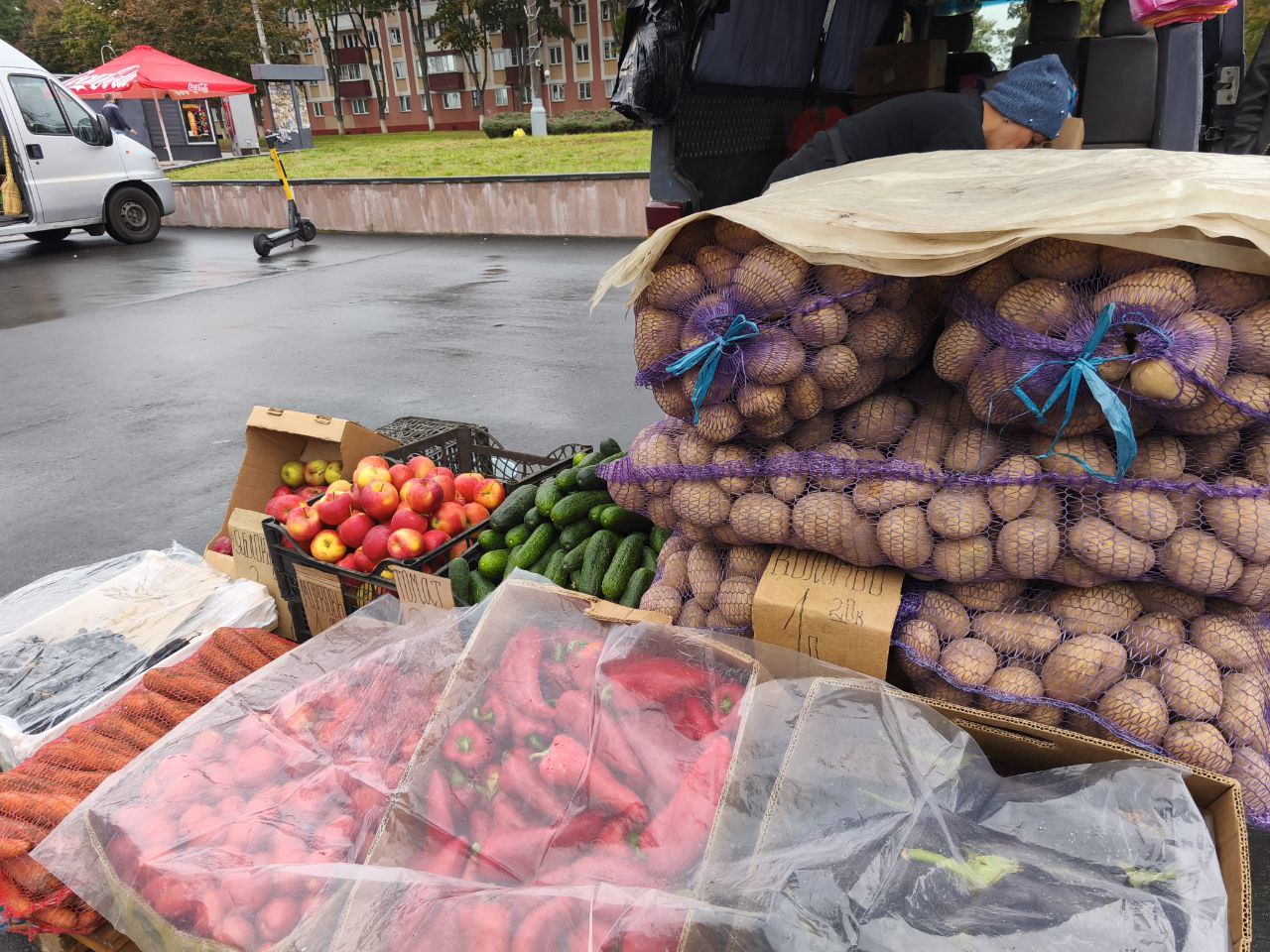 ярмарка картошка