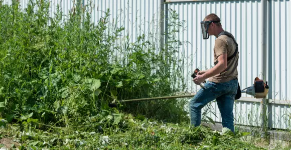 покос травы